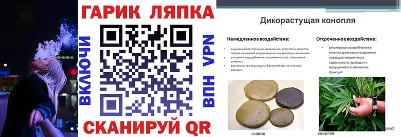 ГАШ Ice-O-Lator  Купить где  Волжский 