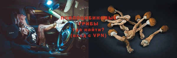 трава Куйбышев
