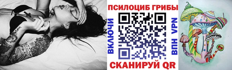 Псилоцибиновые грибы Cubensis  Купить где  Волжский 